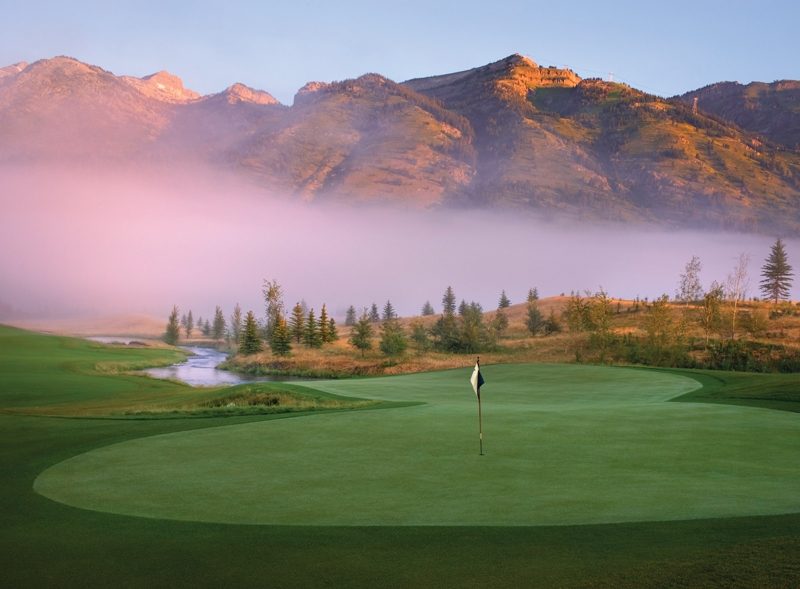 Golf picture